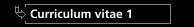 Curriculum vitae 1