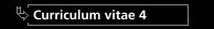 Curriculum vitae 4